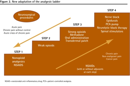 New adaptation analgesic ladder.jpg