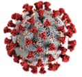 Coronavirus-cdcc.jpg